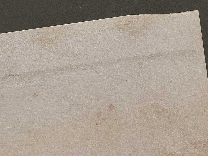 The Girls from the series The Tale of Genji by Ebina Masao, (Medium print size) / BJ329-210