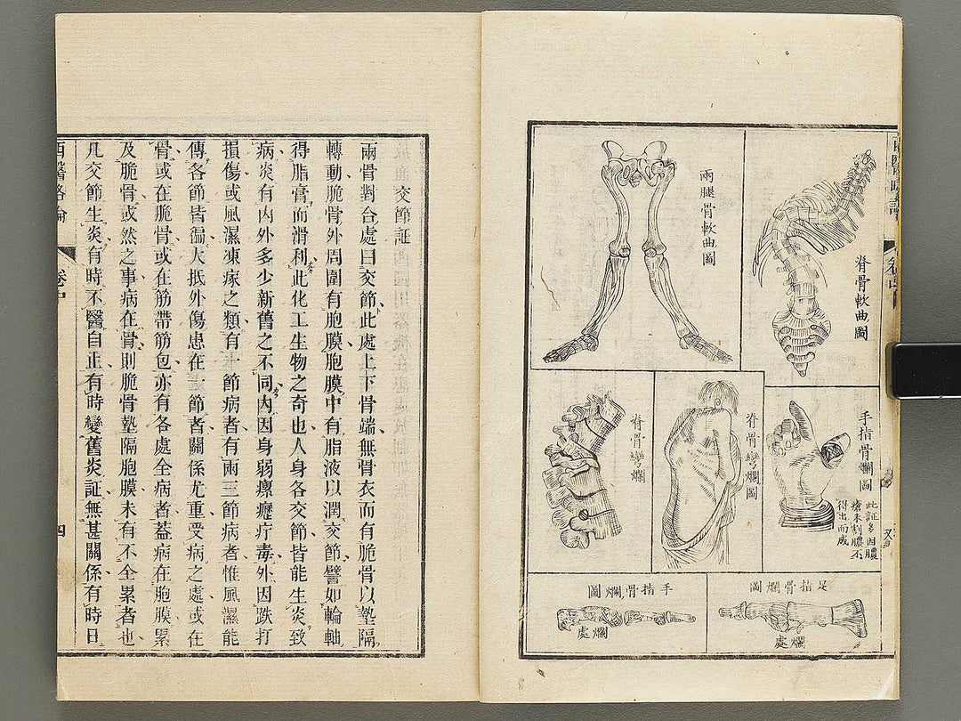 Seii ryakuron (Chu, Jo) / BJ326-319