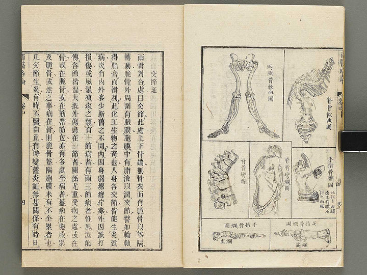 Seii ryakuron (Chu, Jo) / BJ326-319