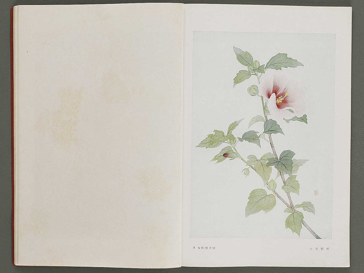 Joshi jitsuyo zuga Volume 3 / BJ326-823