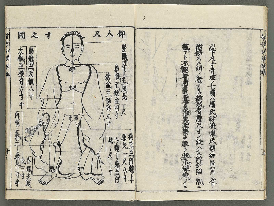 Shikyu wage (furoku) by Okamoto Ippo / BJ347-459