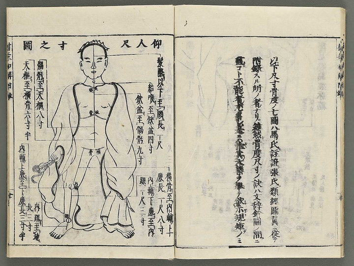 Shikyu wage (furoku) by Okamoto Ippo / BJ347-459