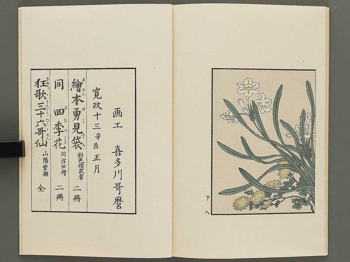 Shiki no hana (Ge) by Kitagawa Utamaro / BJ325-374