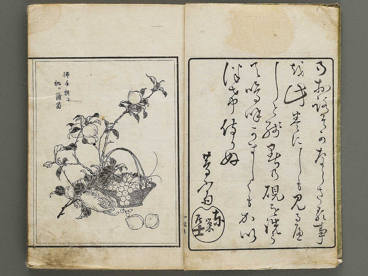 Shunzan gafu Volume 4 by Naoe Tokutaro / BJ339-906