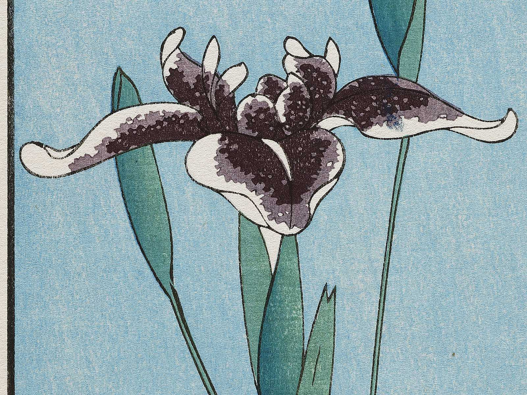 Horikiri Iris Garden from the series One Hundred Famous Views of Edo by Utagawa Hiroshige, (Large print size) / BJ331-541
