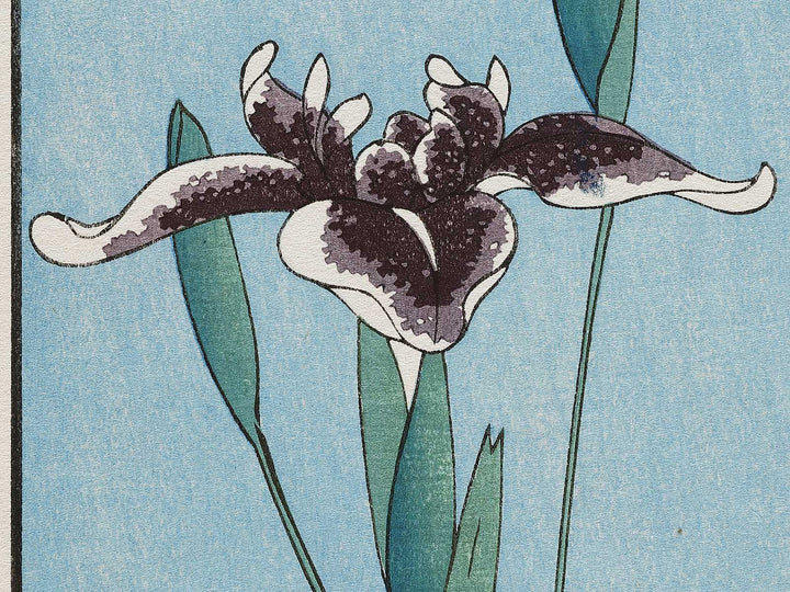 Horikiri Iris Garden from the series One Hundred Famous Views of Edo by Utagawa Hiroshige, (Large print size) / BJ331-541