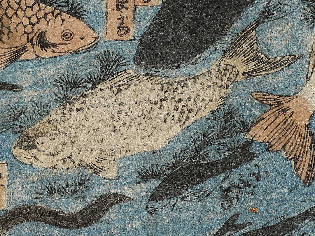 Sakana zukushi / BJ325-836