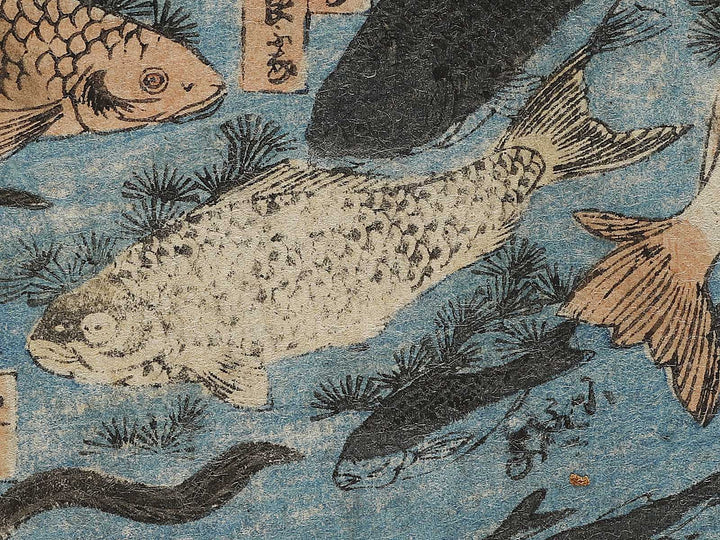 Sakana zukushi / BJ325-836