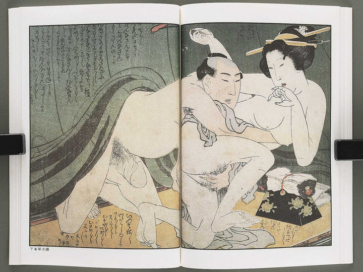 Ezoshi Tamakazura Volume 12 by Katsushika Hokusai / BJ346-486