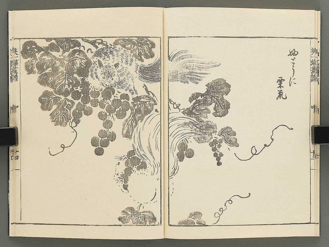 Iccho gafu (Chu) by Hanabusa Iccho / BJ350-679