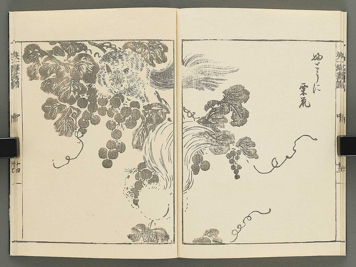 Iccho gafu (Chu) by Hanabusa Iccho / BJ350-679
