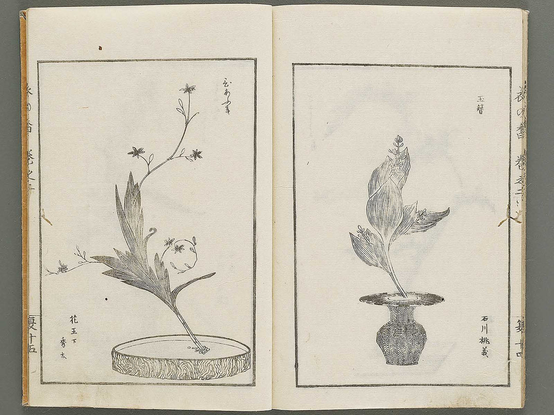 Soka koromonoka Volume 2 by Hishikawa Sori / BJ335-174