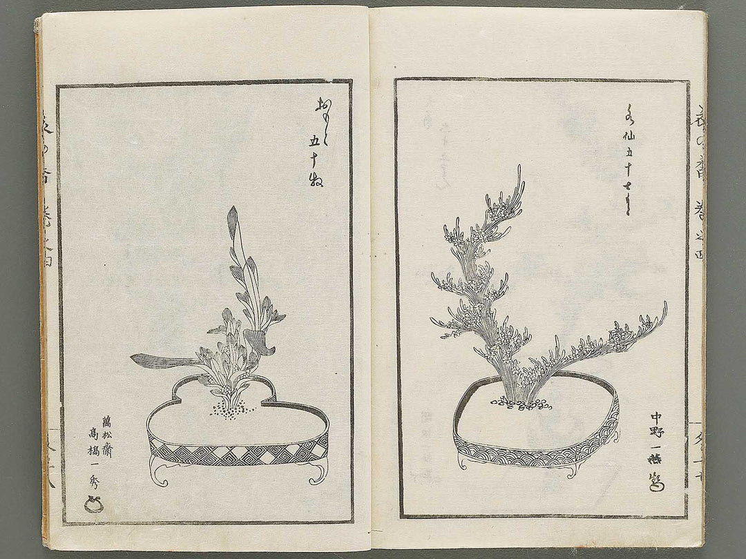 Soka koromonoka Volume 4 by Hishikawa Sori / BJ335-188