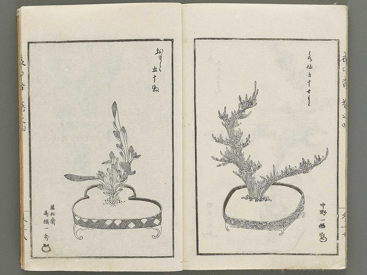 Soka koromonoka Volume 4 by Hishikawa Sori / BJ335-188