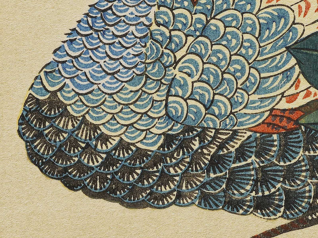 Paeony & Peacock by Utagawa Hiroshige, (Medium print size) / BJ328-181