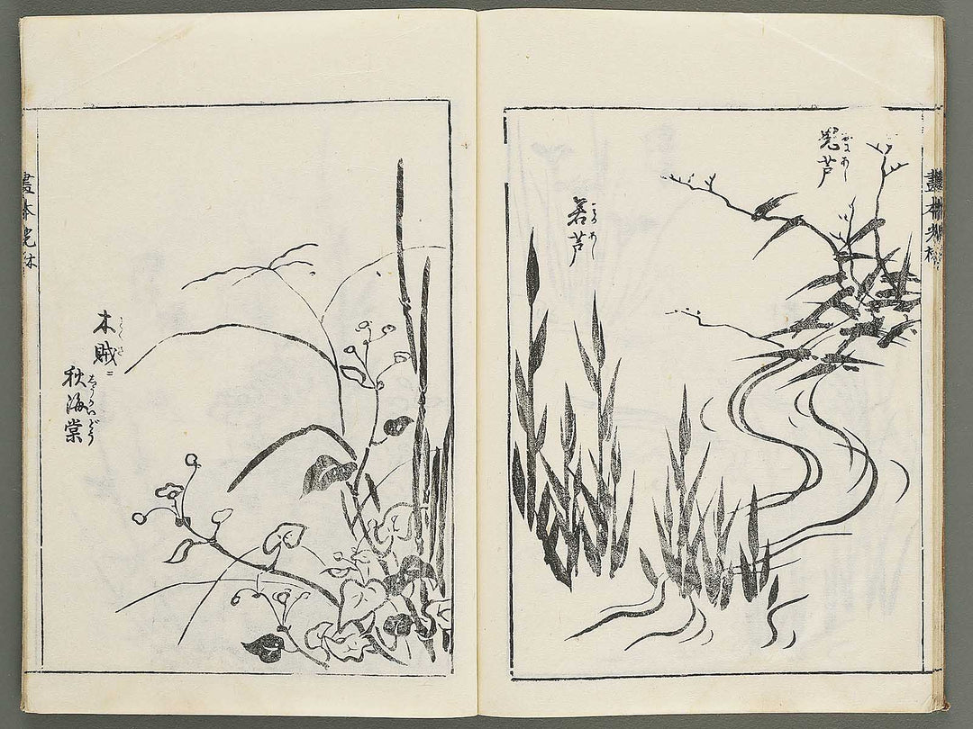 Korin michishirube by Nonomura Chubee / BJ351-134