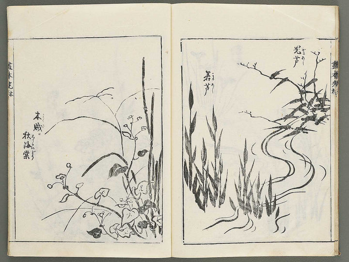 Korin michishirube by Nonomura Chubee / BJ351-134