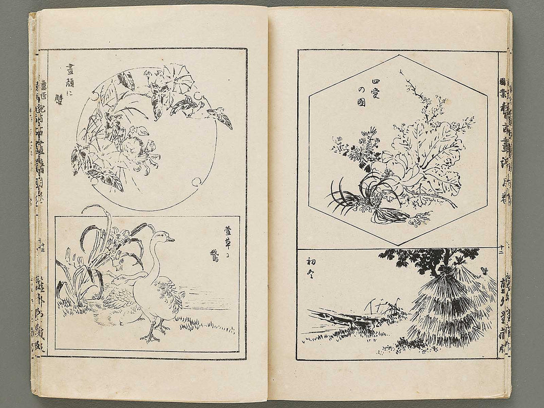 Isho zuan keiko gafu tsuki by Adachi Ginko / BJ331-464