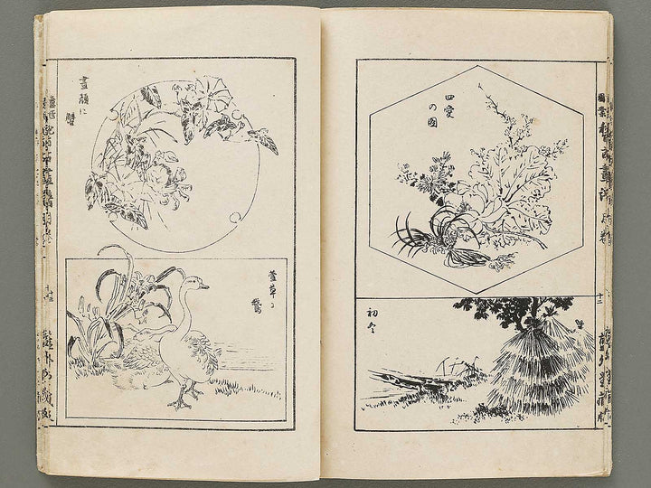 Isho zuan keiko gafu tsuki by Adachi Ginko / BJ331-464