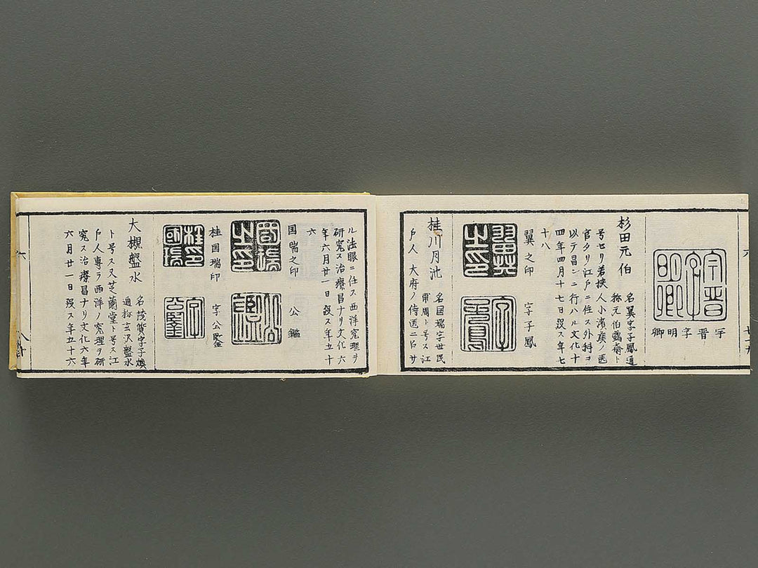 Shoga hikkei meika zensho Volume 6 / BJ348-635