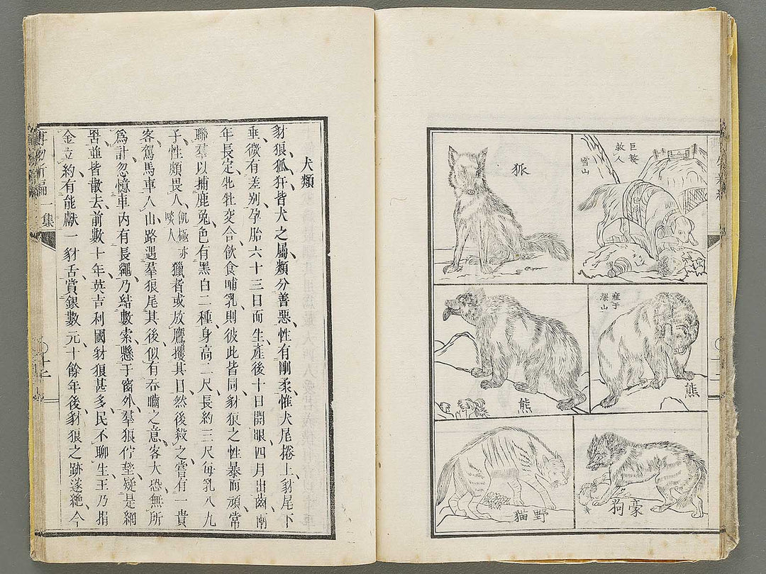 Hakubutsu Shinpen Volume 3 / BJ330-869
