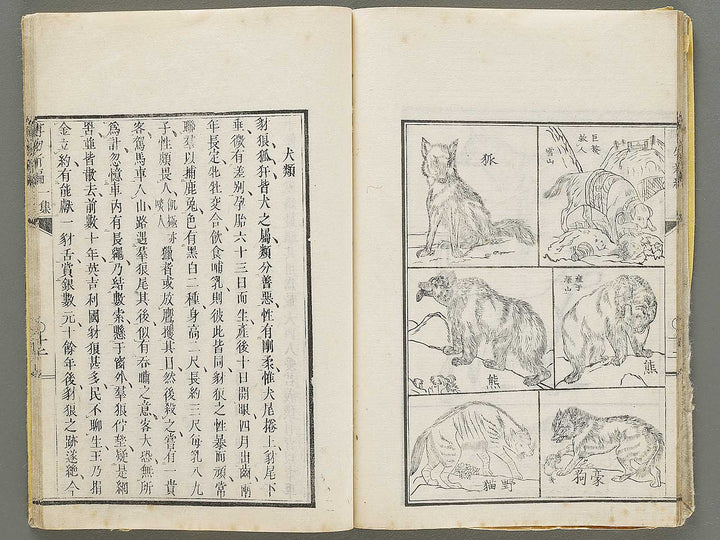Hakubutsu Shinpen Volume 3 / BJ330-869