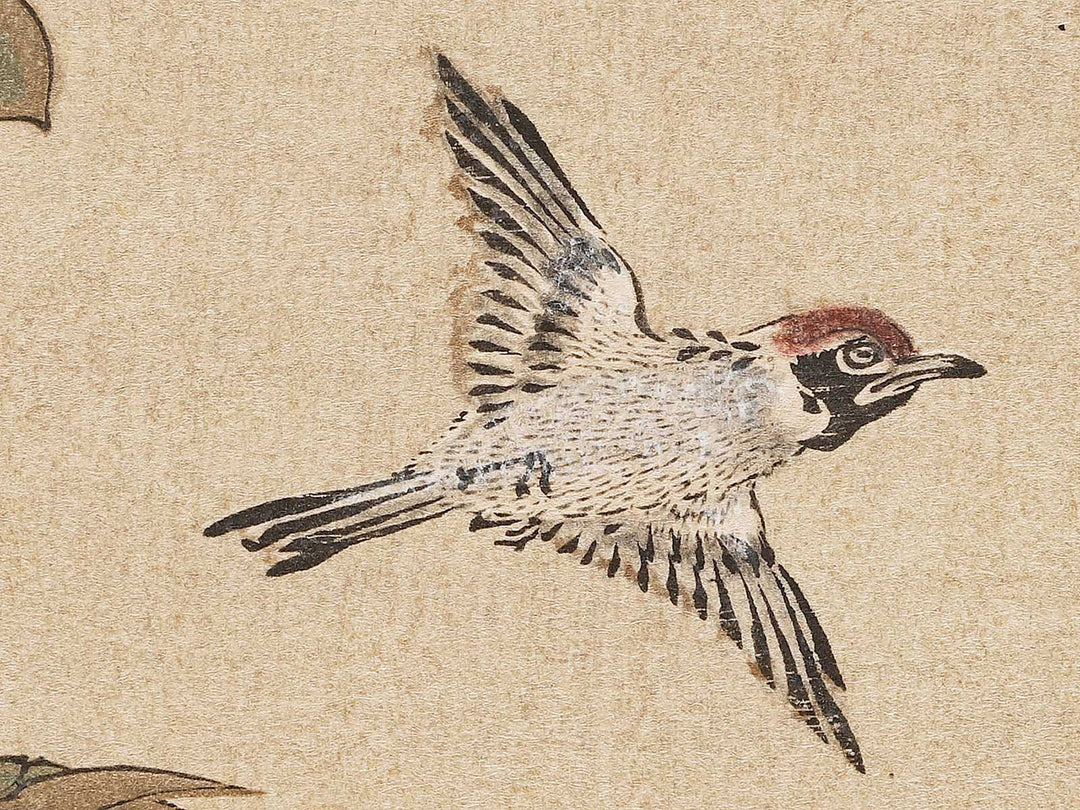 Kacho neko inu zu by Kanzan Seicho / BJ330-792