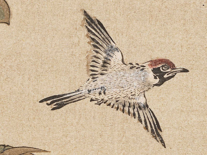 Kacho neko inu zu by Kanzan Seicho / BJ330-792