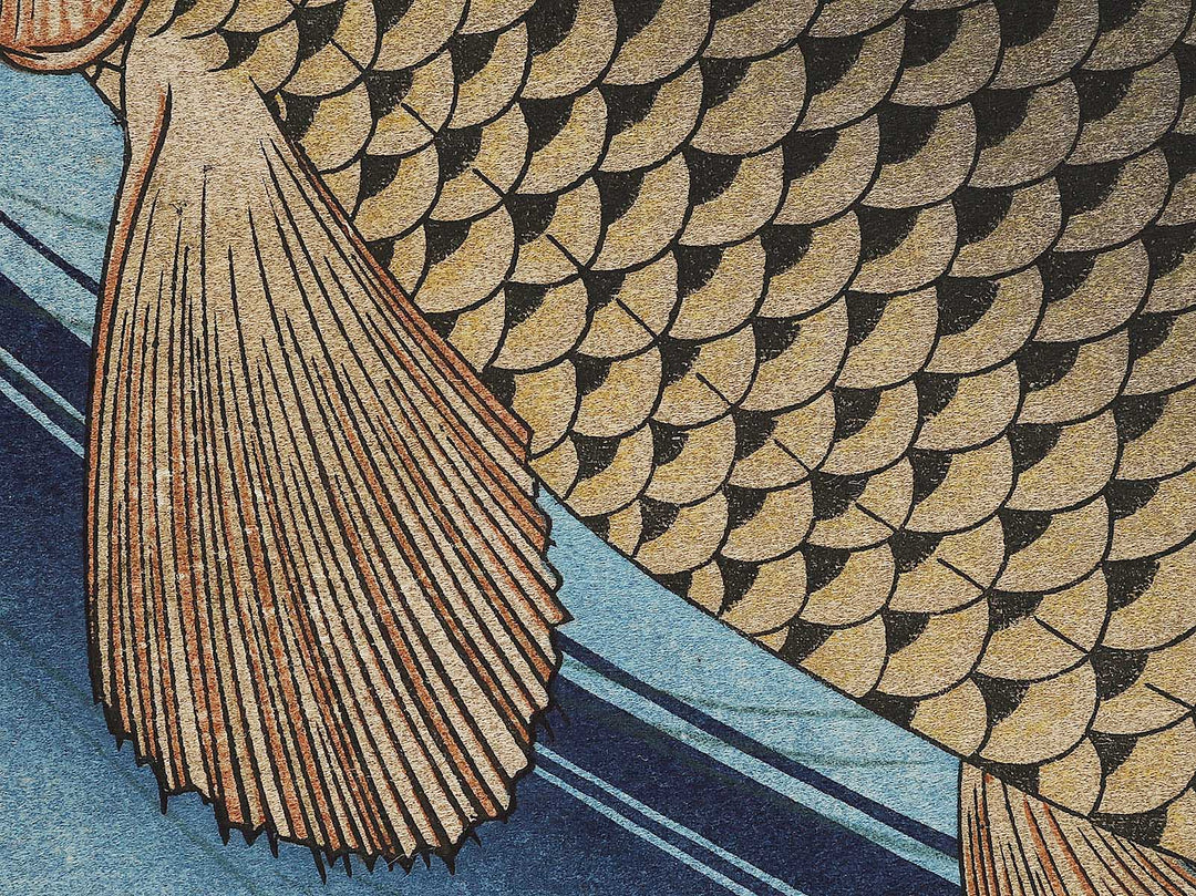 Japanese Carp from the series the series fish by Utagawa Hiroshige, (Large print size) / BJ323-407
