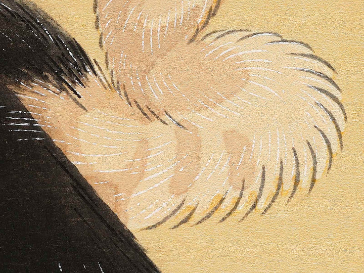 Konotori by Katsushika Hokusai, (Medium print size) / BJ319-634