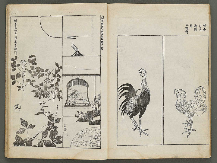 Korin hyakuzu (Jo) by Ogata Korin / BJ324-240