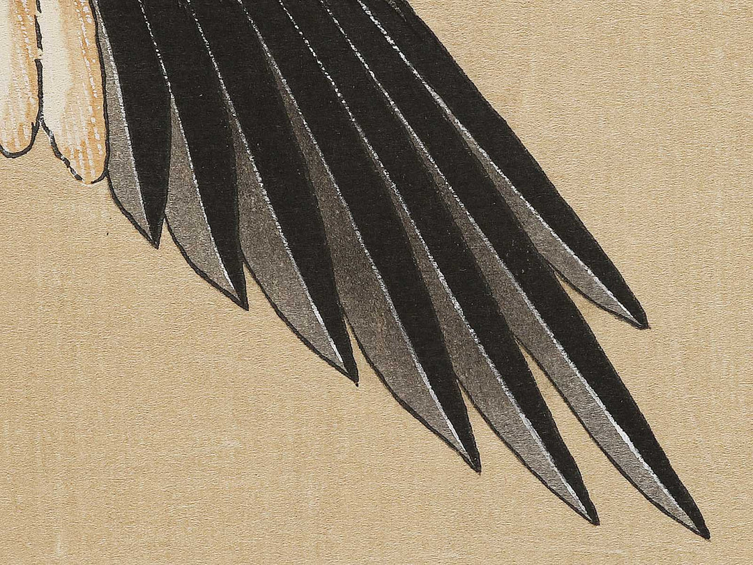 Konotori by Katsushika Hokusai, (Medium print size) / BJ324-975
