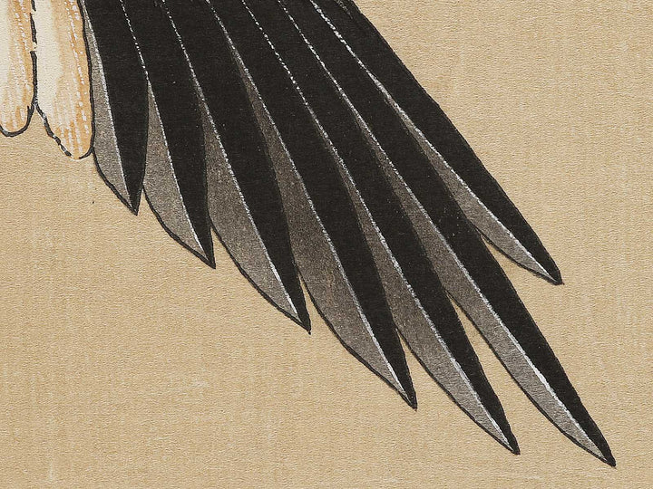 Konotori by Katsushika Hokusai, (Medium print size) / BJ324-975