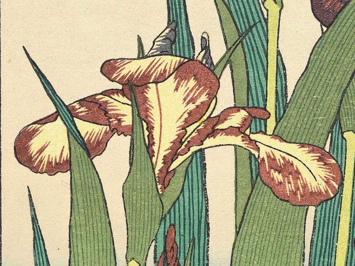 Iris and Grasshopper by Katsushika Hokusai, (Medium print size) / BJ307-426