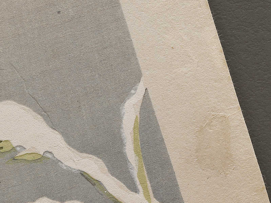 UKIFUNE from the series The Tale of Genji by Ebina Masao, (Medium print size) / BJ329-357