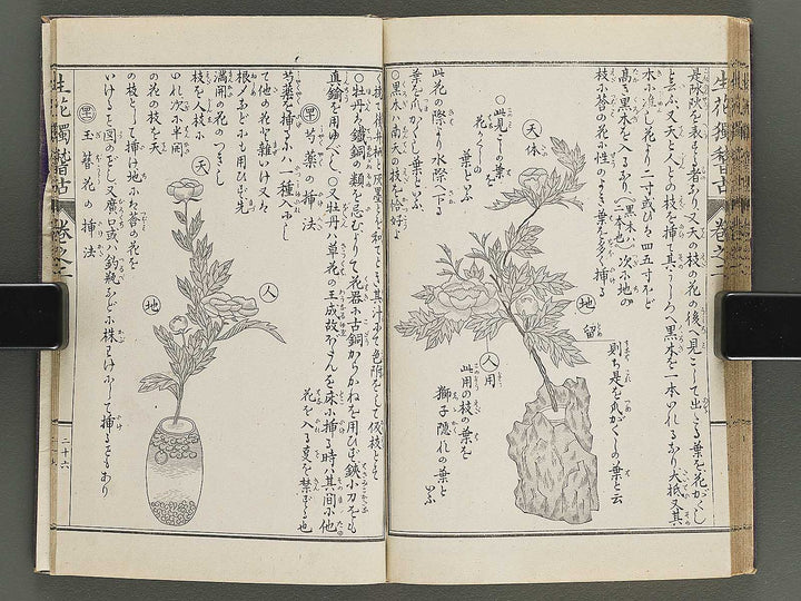 Shoryu hiden ikebana hitorigeiko Volume 2 / BJ347-935