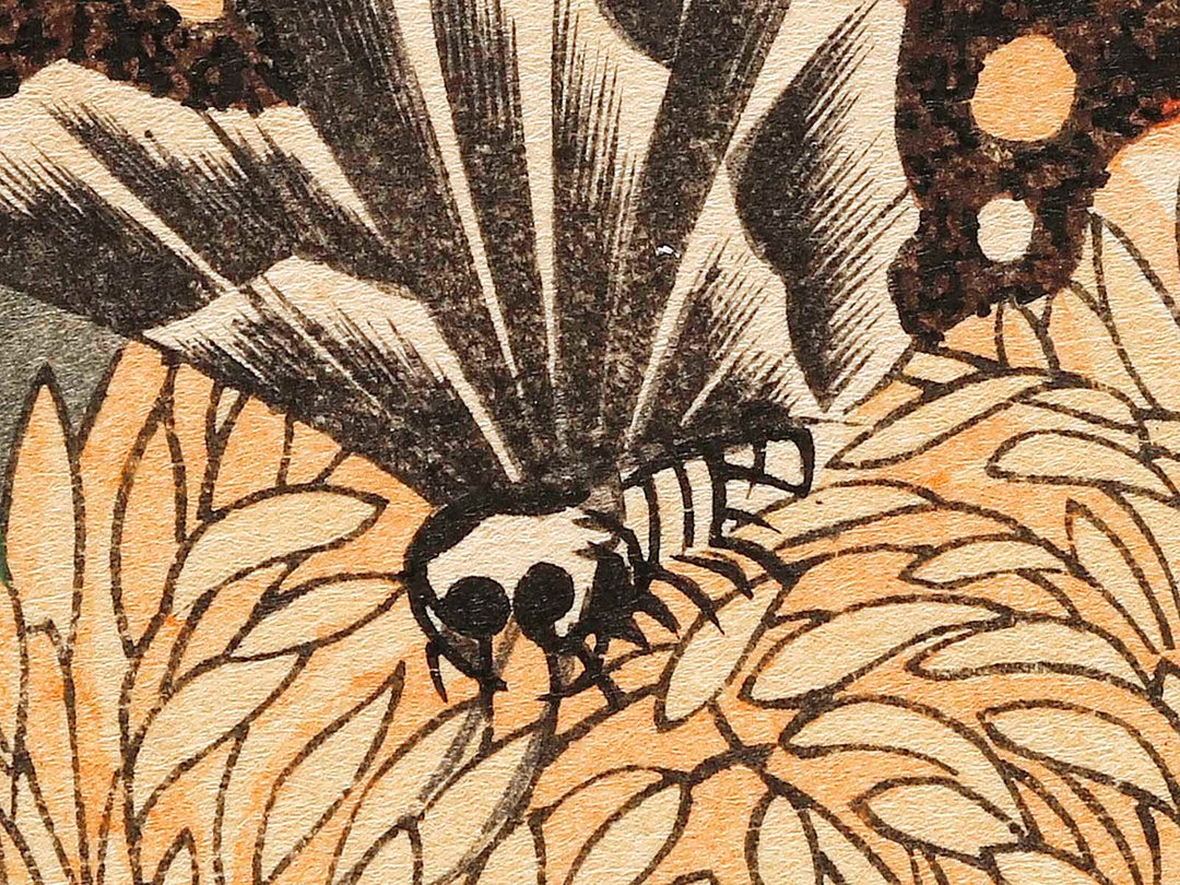 Kiku ni cho by Utagawa Hiroshige, (Large print size) / BJ323-281