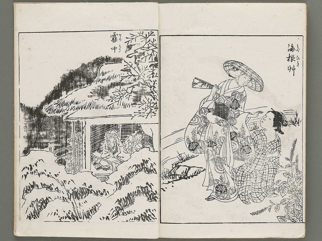 Gazu hyakuchin  / BJ334-600