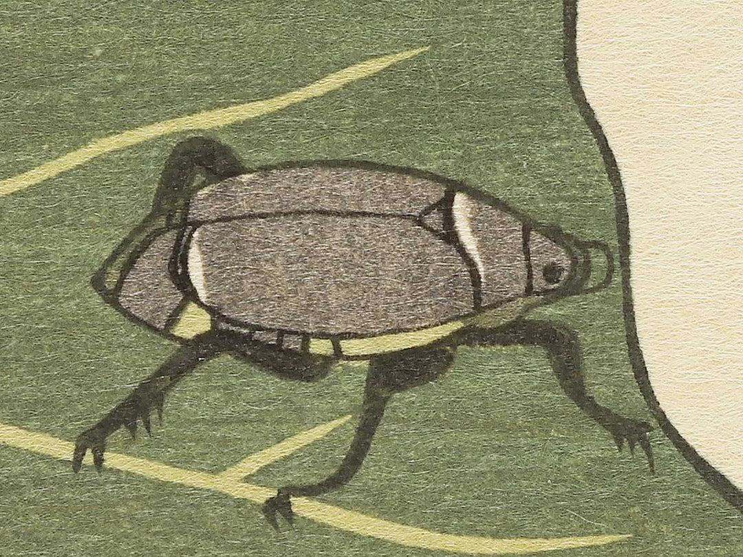 Frog and Gold Beetle from the series Gahon mushierami by Kitagawa Utamaro, (Large print size) / BJ355-292