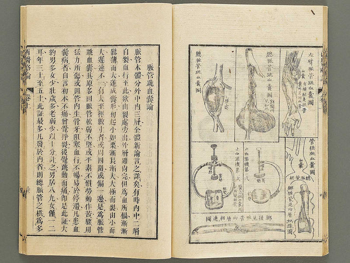 Seii ryakuron (Jo) / BJ326-312