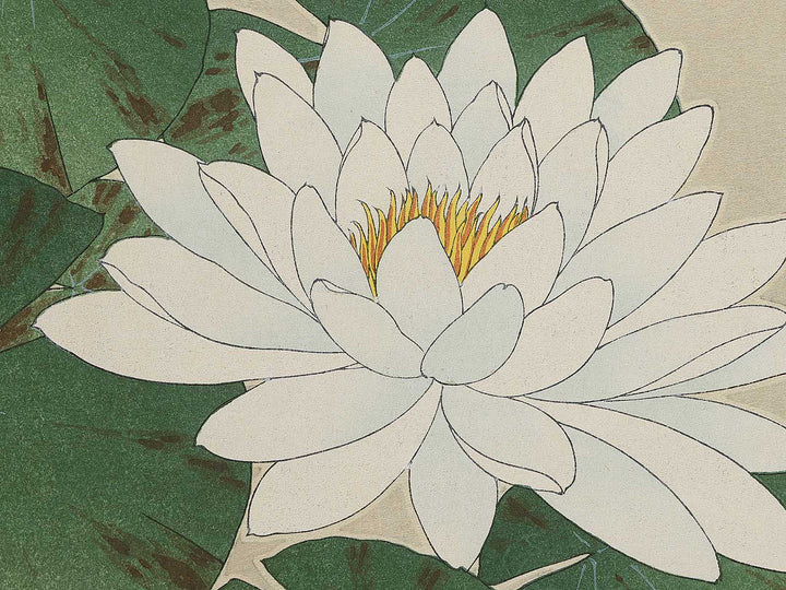 Suiren by Kawarazaki Shodo, (Large print size) / BJ346-283