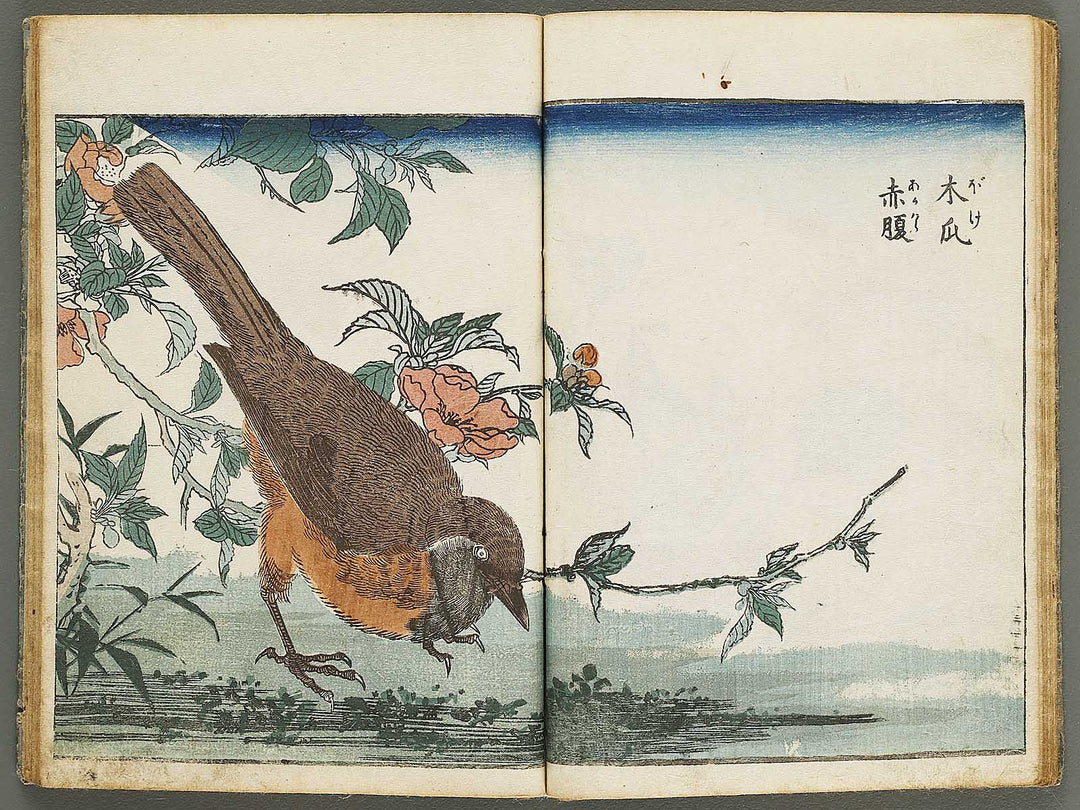 Kacho shashin zui by Kitao Shigemasa / BJ339-115