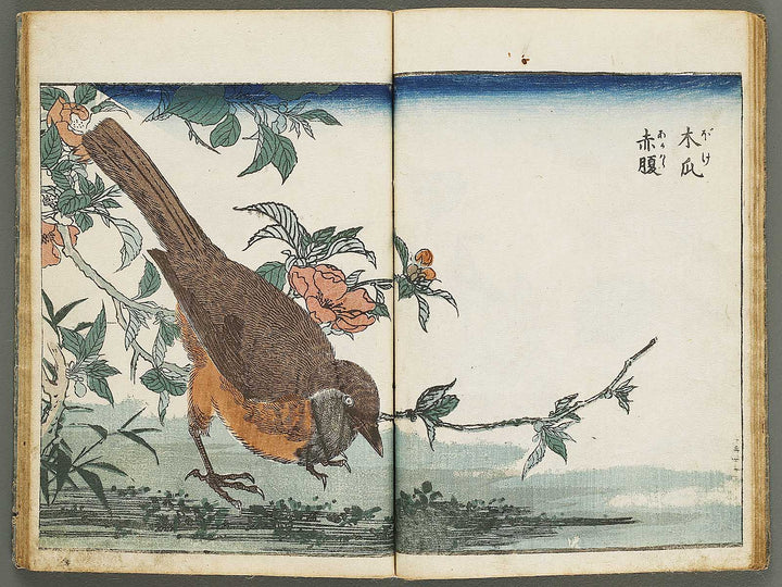 Kacho shashin zui by Kitao Shigemasa / BJ339-115