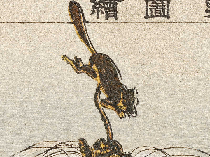 Sesshoseki from the series Nogaku zue by Tsukioka Kogyo / BJ331-576