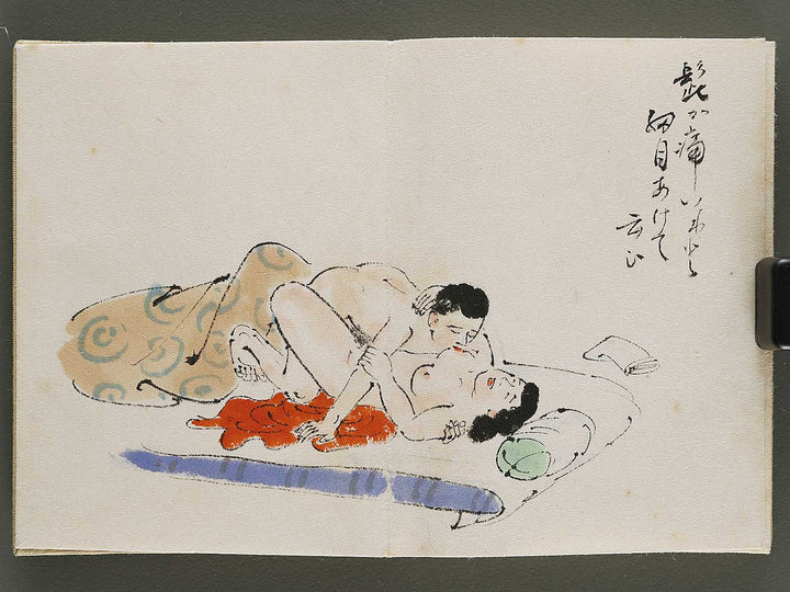 Gendai senryu kaigashu / BJ325-731