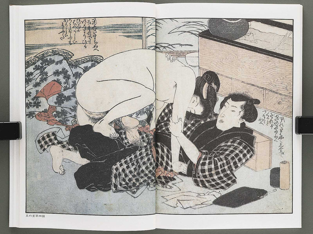 Ezoshi Fuji no yuki Volume 10 by Keisai Eisen / BJ346-472