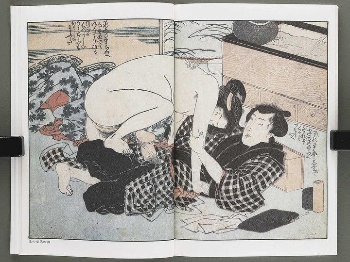 Ezoshi Fuji no yuki Volume 10 by Keisai Eisen / BJ346-472