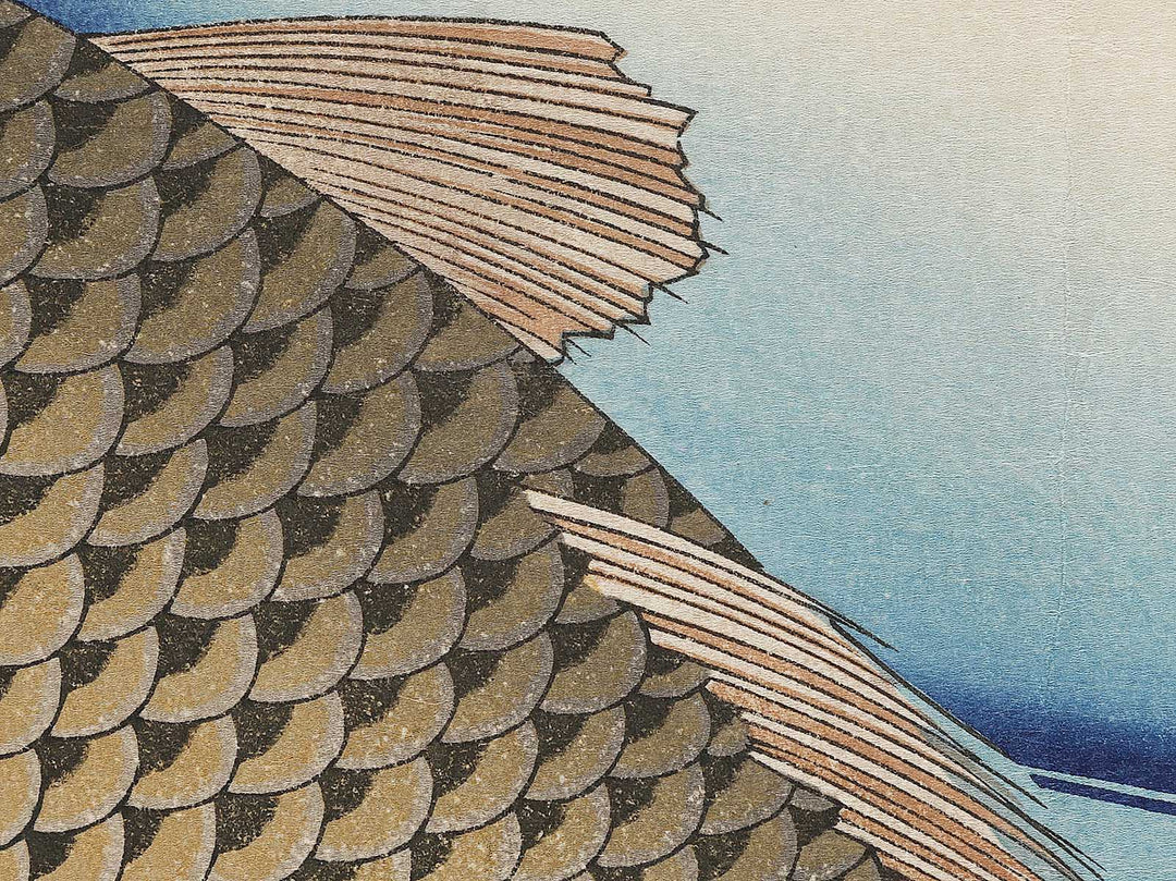 Japanese Carp from the series the series fish by Utagawa Hiroshige, (Large print size) / BJ325-619