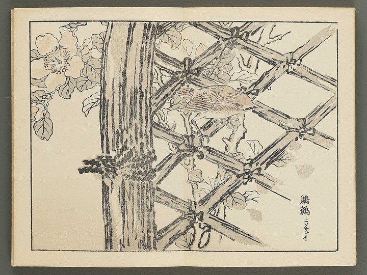 Bairei gafu (Kacho no bu) by Kono Bairei / BJ351-106