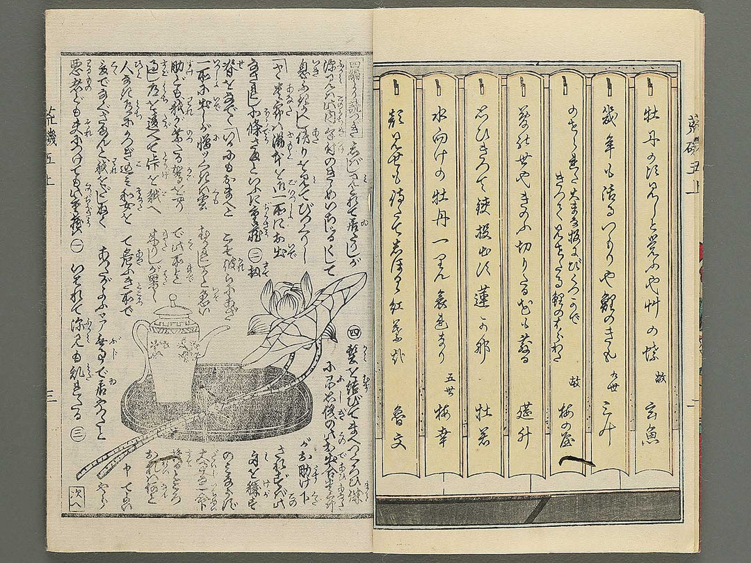 Araiso ryori koi no harawata Volume 5, (Jo) by Morikawa Chikashige / BJ347-382
